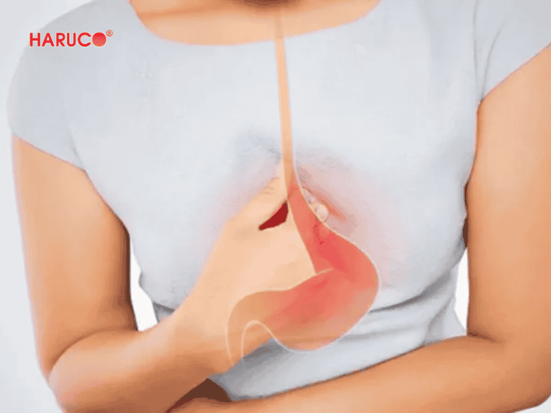 goi-chong-trao-nguoc-hakoro