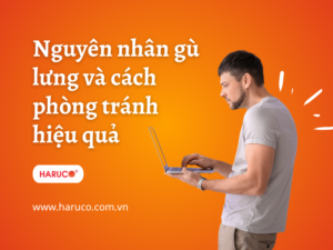 dai-lung-chong-gu-haruco