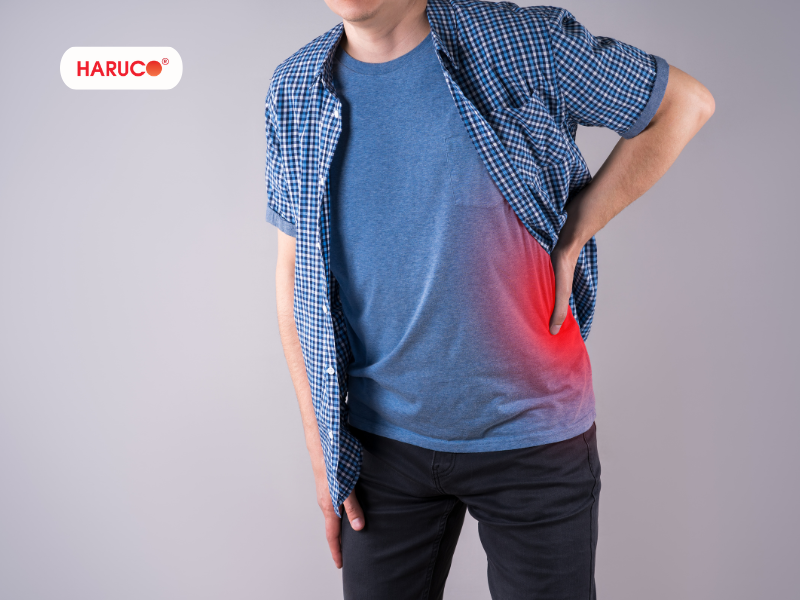 dai-lung-da-nong-haruco