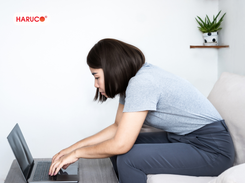 dai-lung-chong-gu-haruco