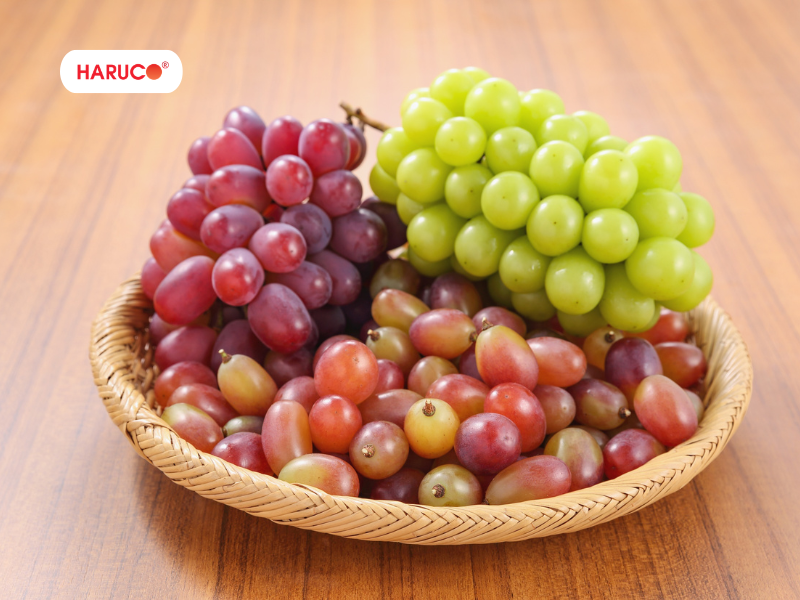 dai-lung-cot-song-haruco