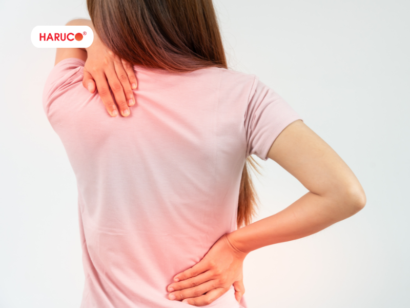 dai-lung-chong-gu-haruco