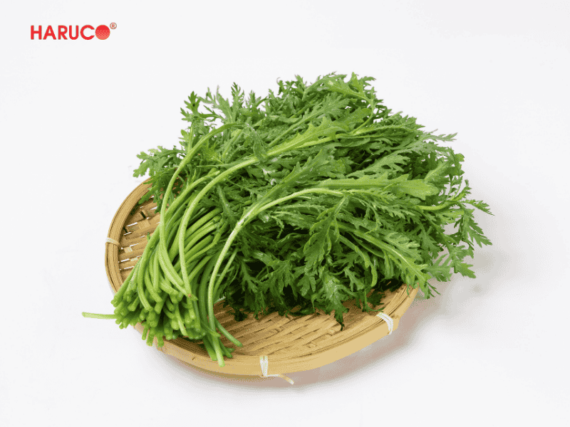 tham-ngai-cuu-dong-y