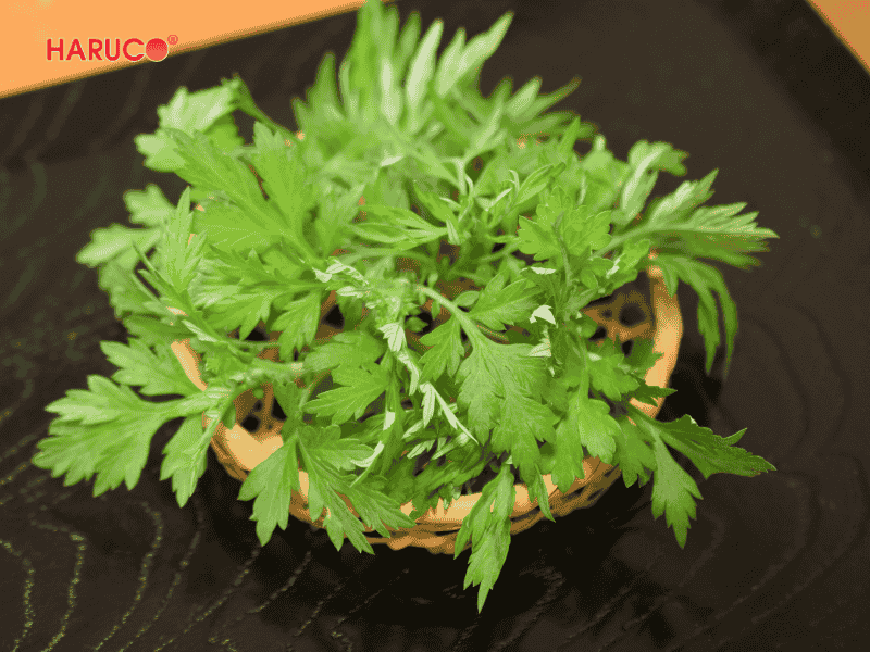 tham-ngai-cuu-dong-y