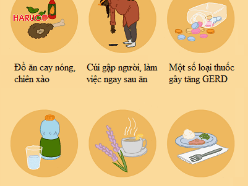 goi-chong-trao-nguoc-hakoro