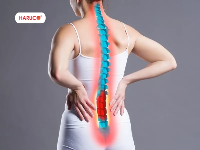 thoát vị đĩa đệm gây đau thần kinh tọa - 2