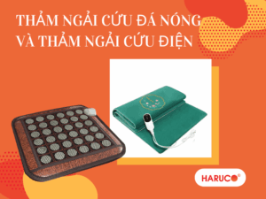 tham-ngai-cuu-dong-y