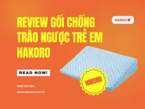 goi-chong-trao-nguoc
