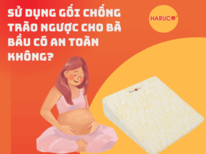 goi-chong-trao-nguoc-hakoro