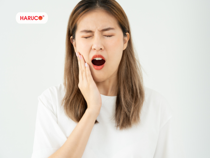 may-lay-cao-rang-haruco