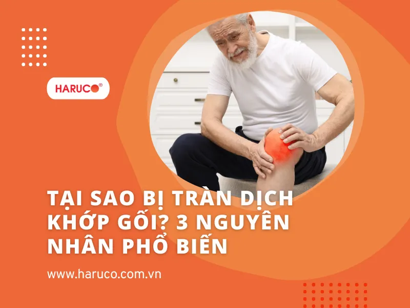 dai-bao-ve-dau-goi-haruco