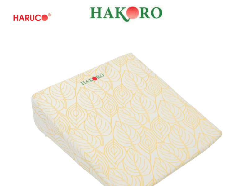 goi-chong-trao-nguoc-hakoro