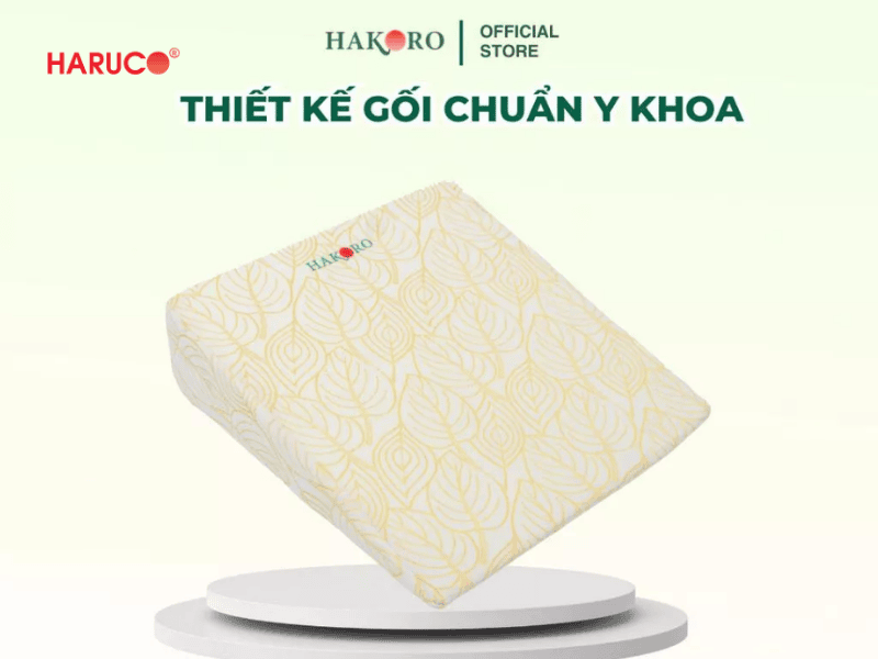 goi-chong-trao-nguoc-hakoro