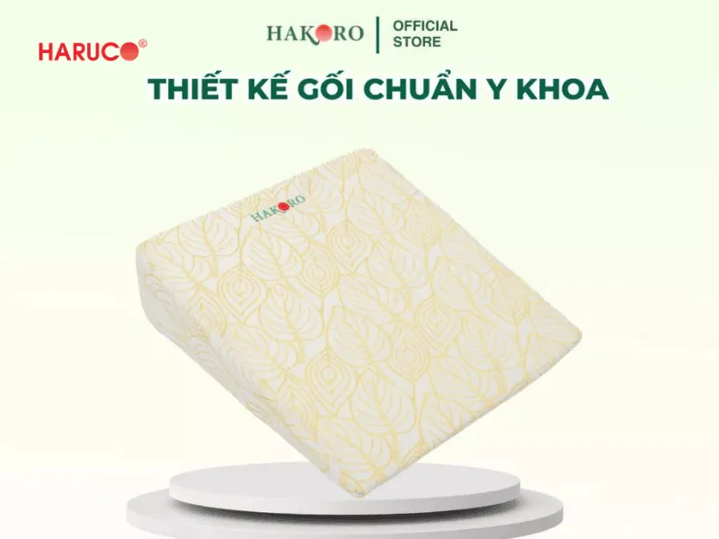 goi-chong-trao-nguoc-hakoro