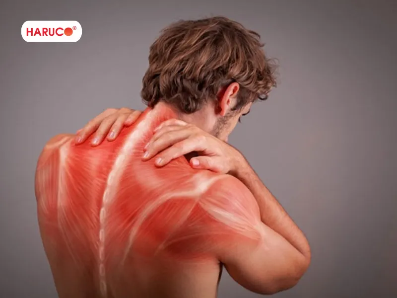 may-massage-xung-diẹn-haruco