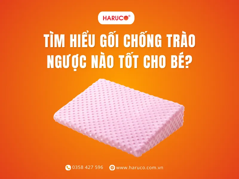 goi-chong-trao-nguoc