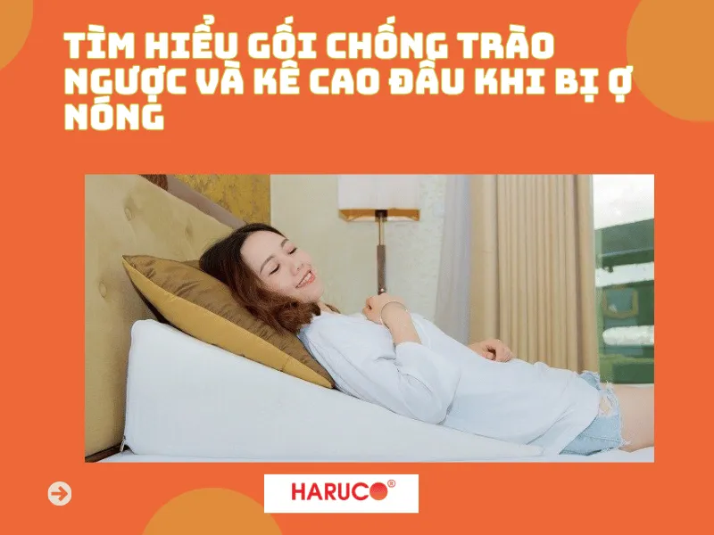 goi-chong-trao-nguoc-hakoro