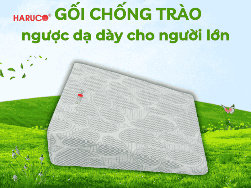 goi-chong-trao-nguoc-hakoro