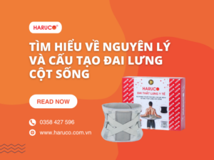 dai-lung-cot-song-haruco