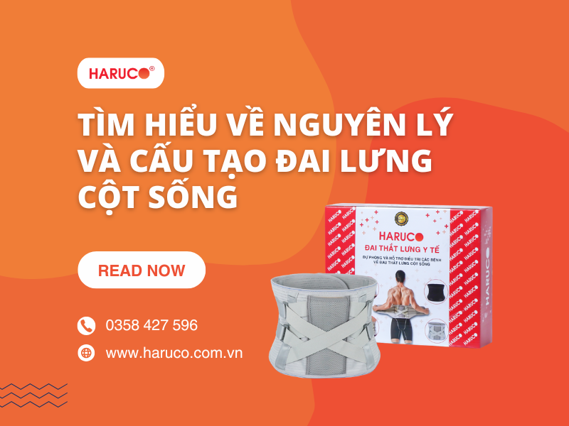 Tìm hiểu về nguyên lý và cấu tạo đai lưng cột sống