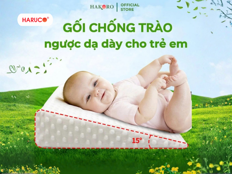 goi-chong-trao-nguoc