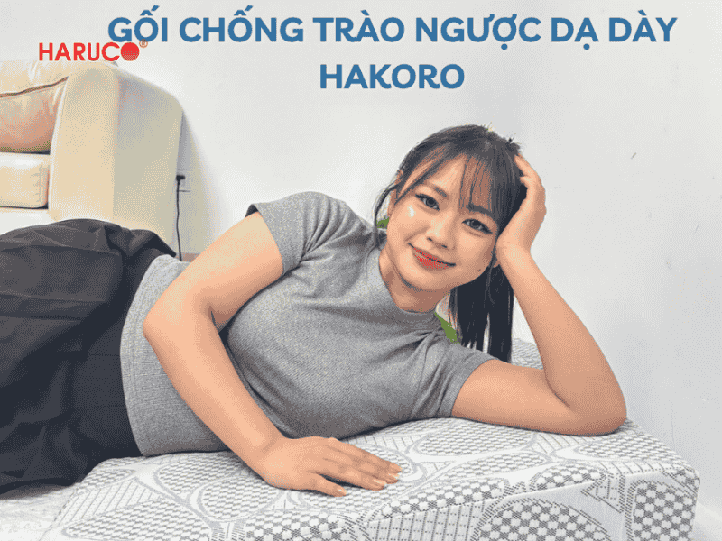 goi-chong-trao-nguoc-hakoro