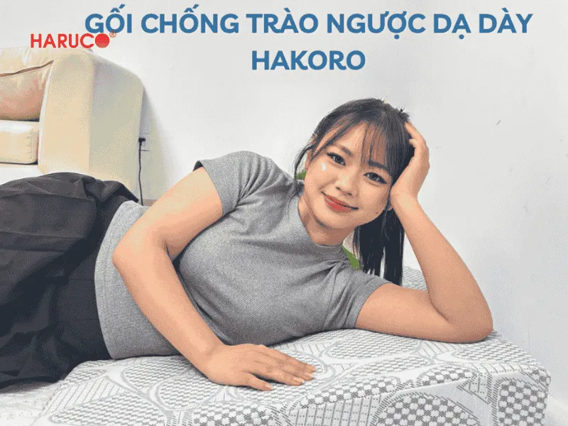 goi-chong-trao-nguoc-hakoro
