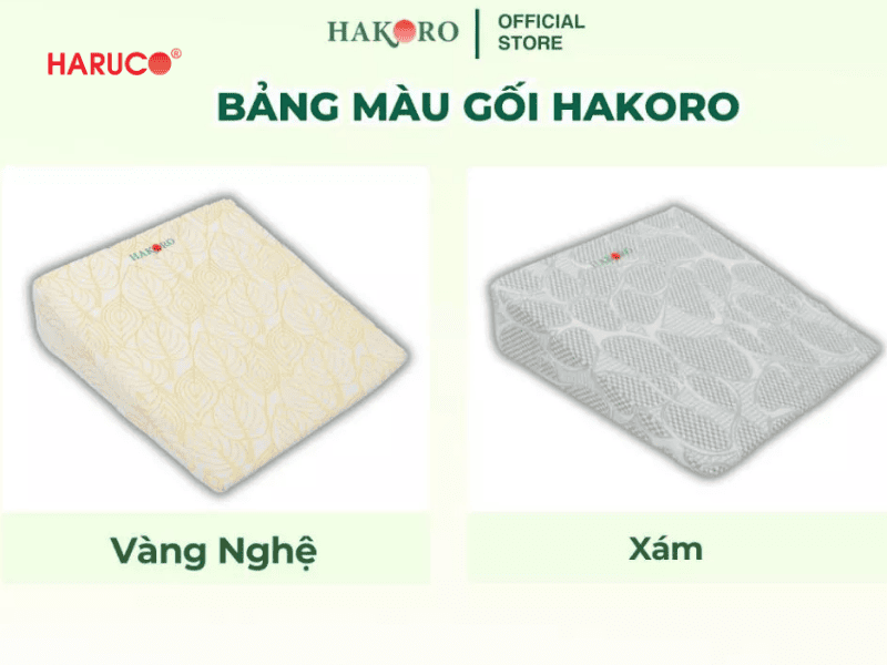 goi-chong-trao-nguoc-hakoro