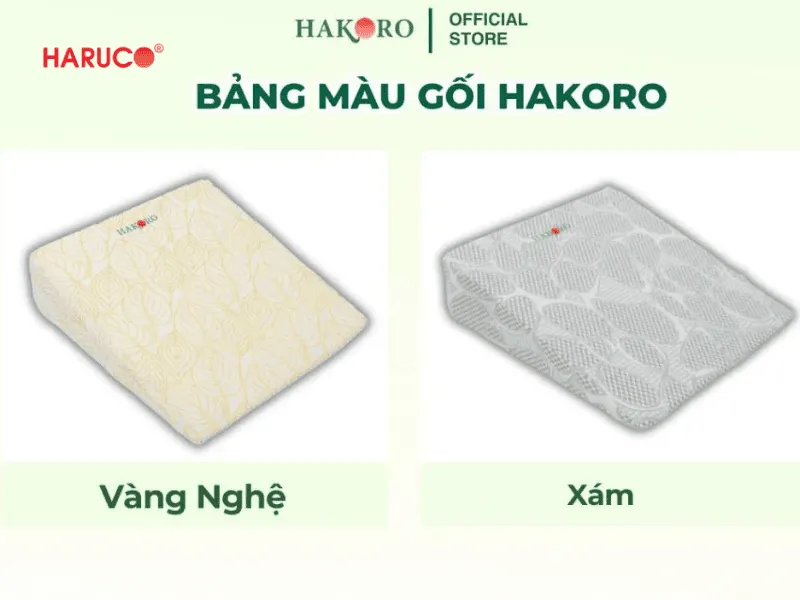 goi-chong-trao-nguoc-hakoro