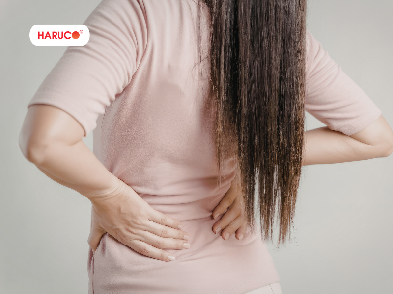 dai-lung-da-nong-haruco