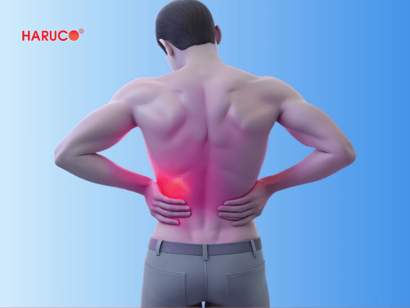 dai-lung-cot-song-haruco