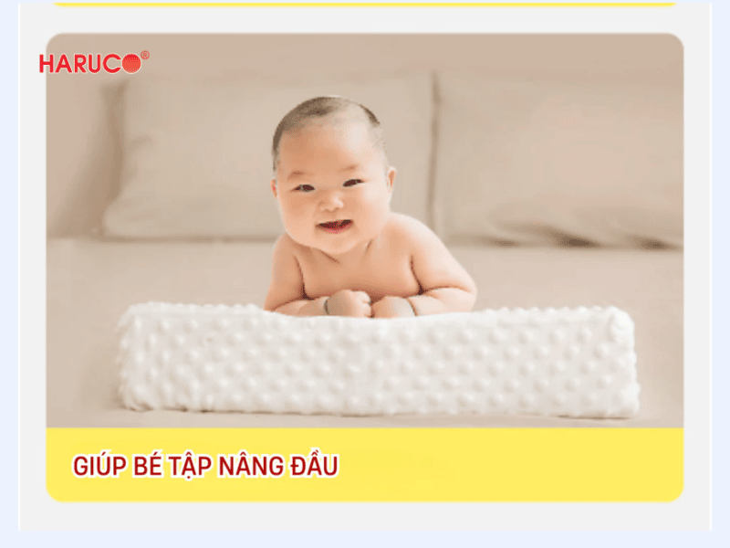 goi-chong-trao-nguoc-hakoro