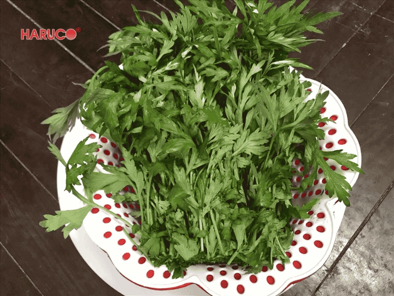 tham-ngai-cuu-dong-y