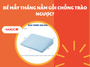 goi-chong-trao-nguoc-hakoro