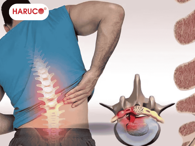 dai-lung-cot-song-haruco