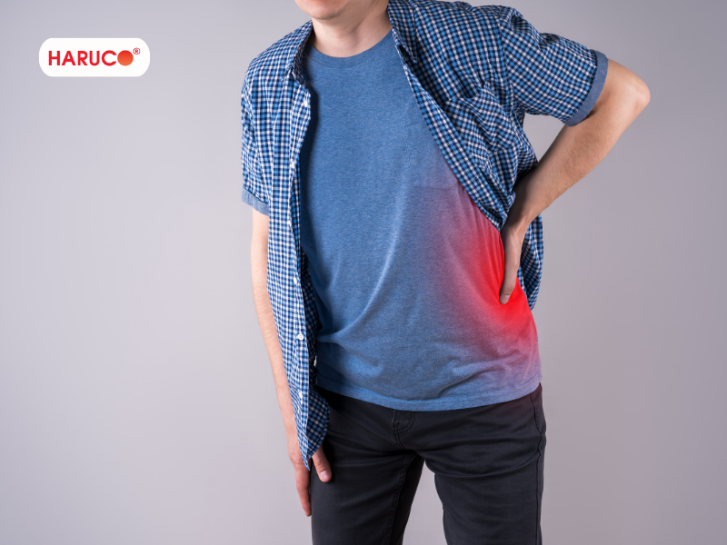 dai-lung-cot-song-haruco