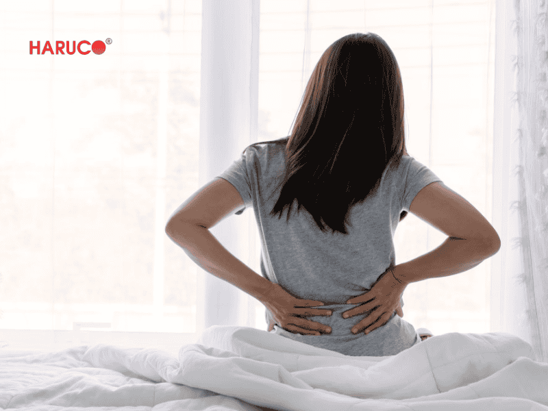 dai-lung-cot-song-haruco