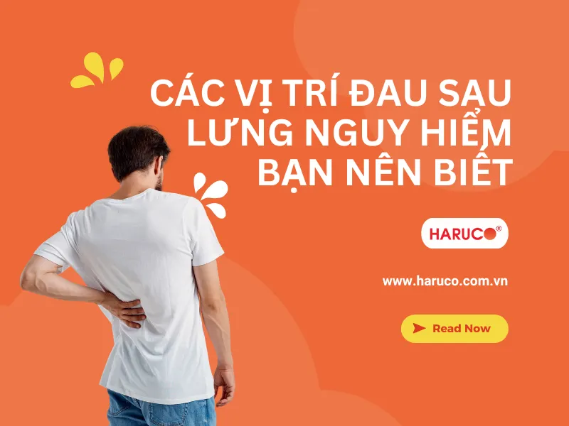 dai-lung-cot-song-haruco