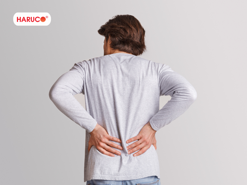 dai-lung-cot-song-haruco