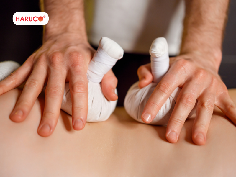 dai-lung-cot-song-haruco