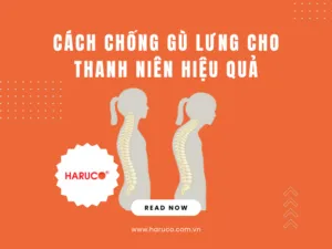 dai-lung-chong-gu