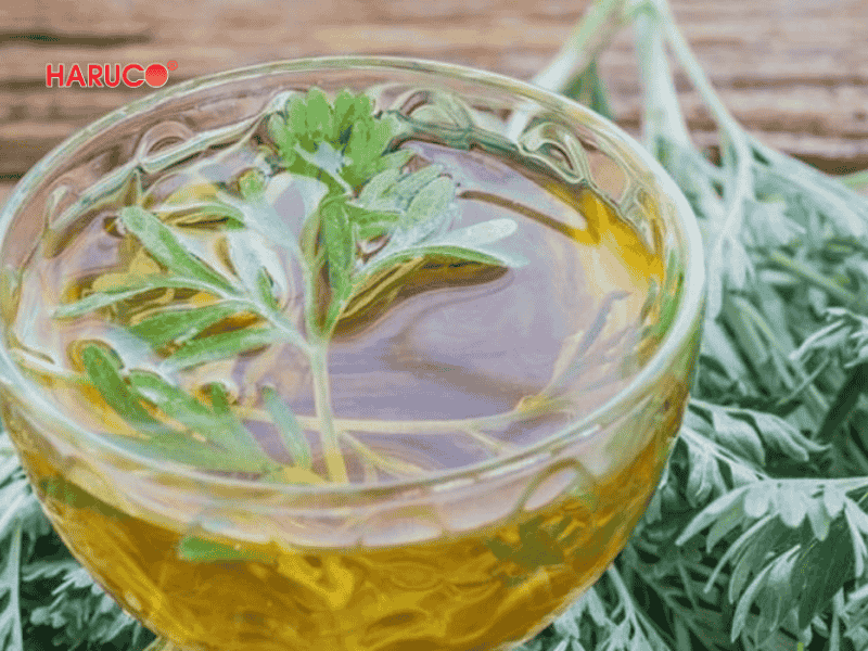 tham-ngai-cuu-dong-y