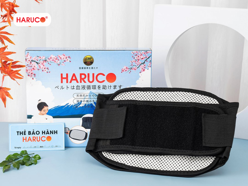 dai-lung-cot-song-haruco