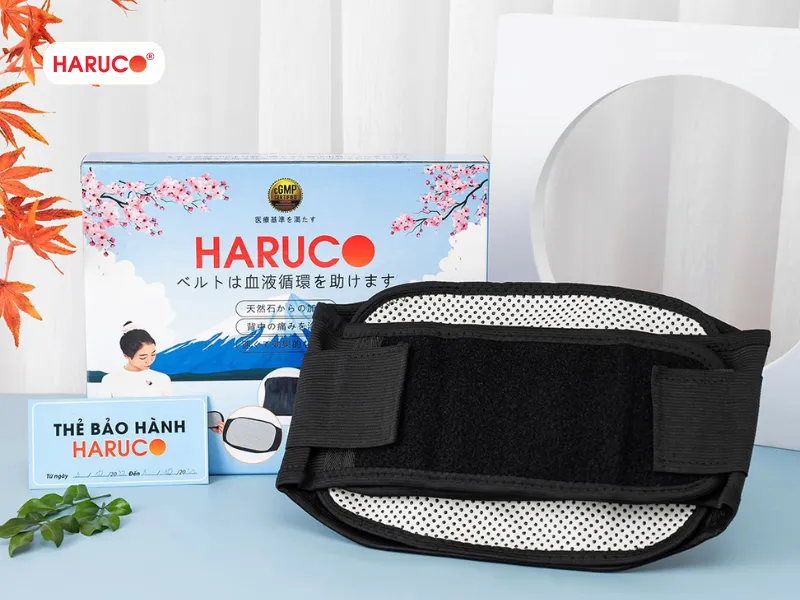 dai-lung-cot-song-haruco