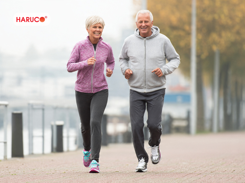 dai-lung-cot-song-haruco