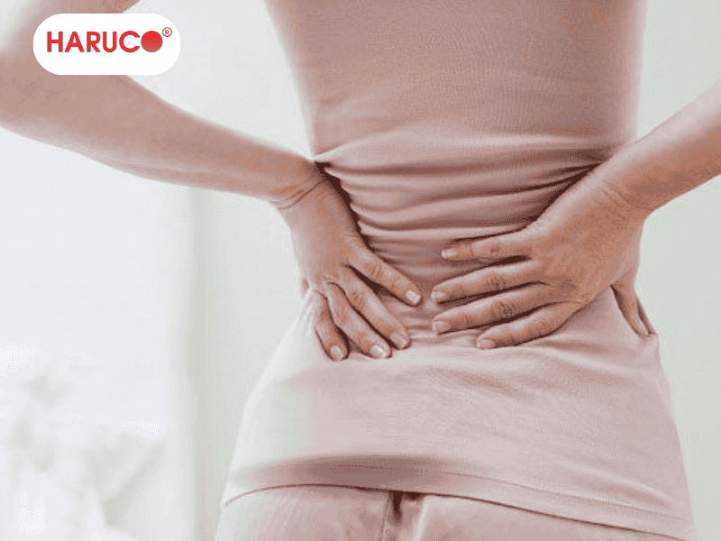 dai-lung-cot-song-haruco