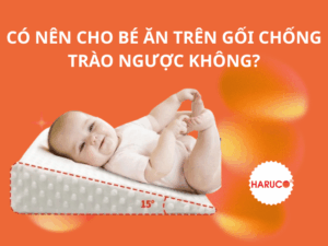 goi-chong-trao-nguoc-hakoro