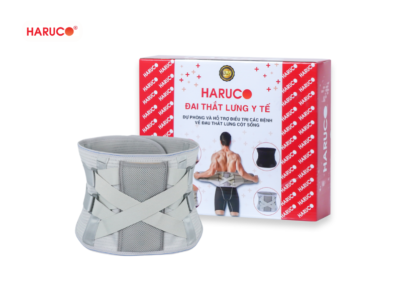 dai-lung-cot-song-haruco