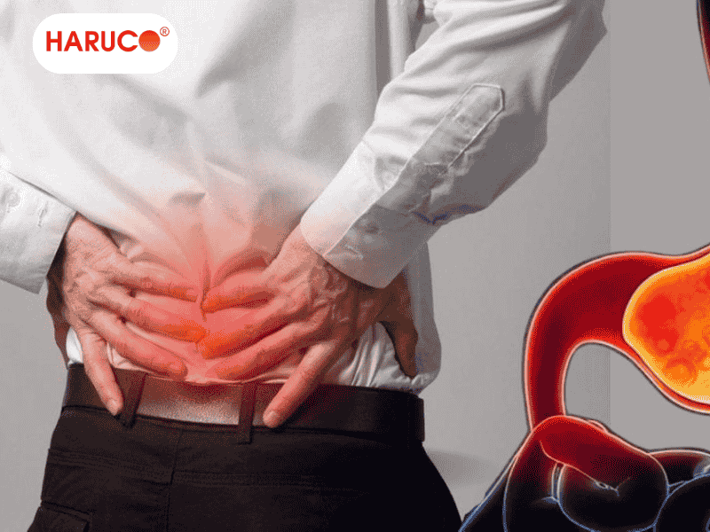 dai-lung-cot-song-haruco