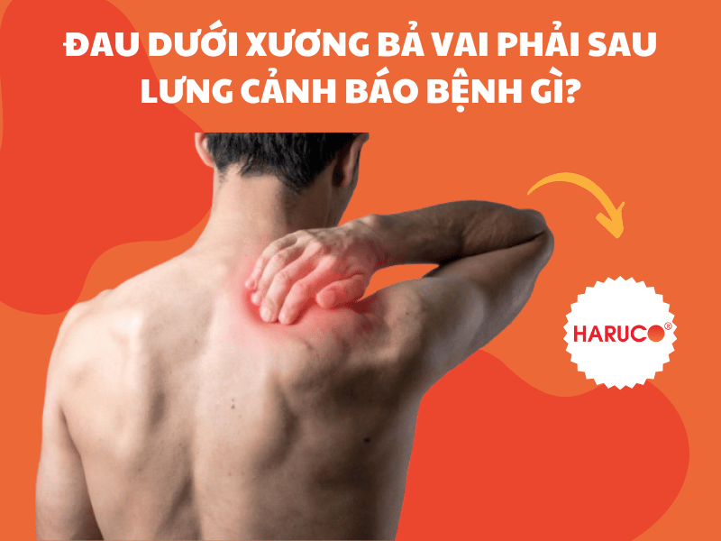 Đau dưới xương bả vai phải sau lưng cảnh báo bệnh gì?